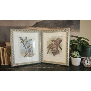 Pair of Framed 1977 William T Cooper Parakeet Prints From Vintage Encyclopedia